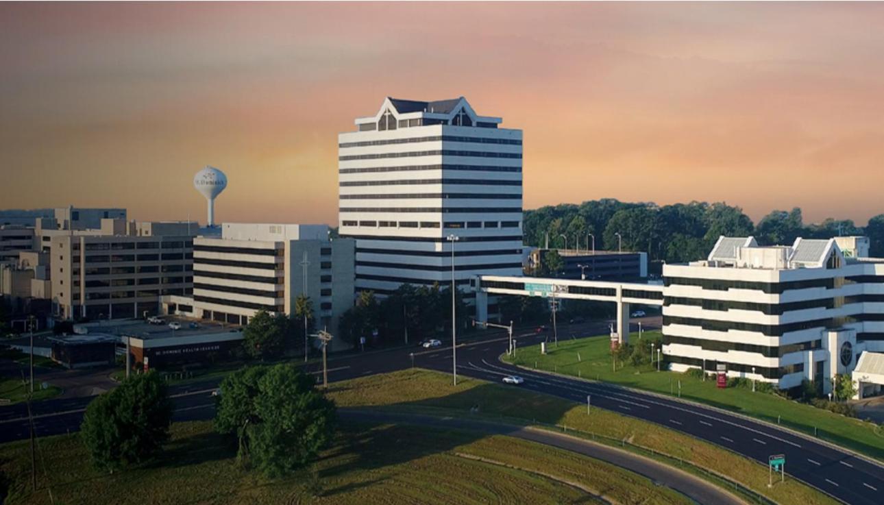 Appartamento Spring Getaway 5 Minutes From Hospitals Jackson Esterno foto